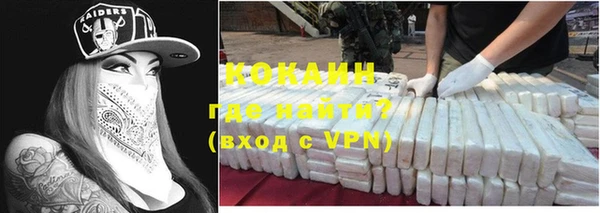 ECSTASY Горняк
