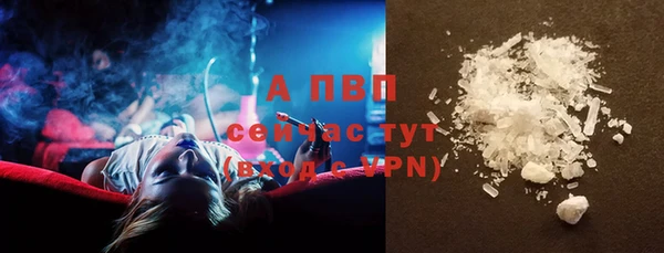 ECSTASY Горняк