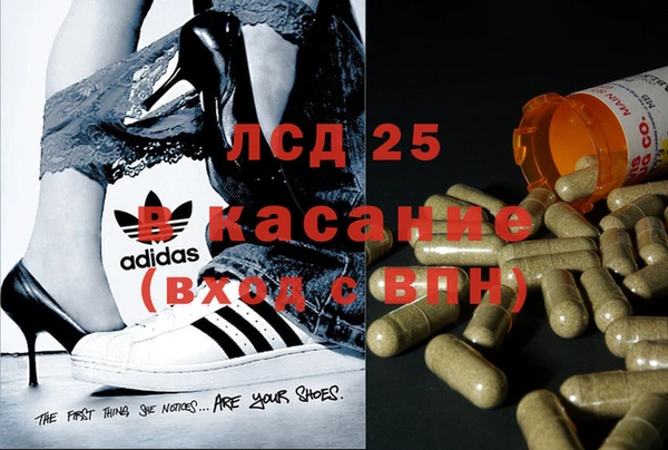 ECSTASY Горняк