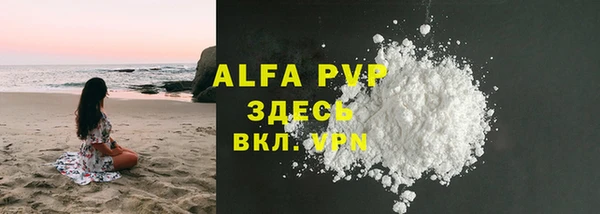 ECSTASY Горняк