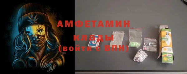 ECSTASY Горняк