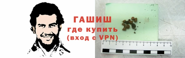 ECSTASY Горняк