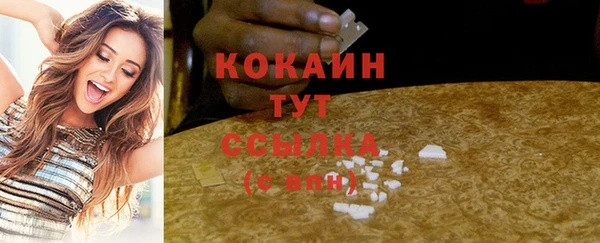 амф Горнозаводск